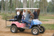 golfcart_JK6A4210_reduced