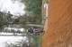 woody_JK6A3276_reduced